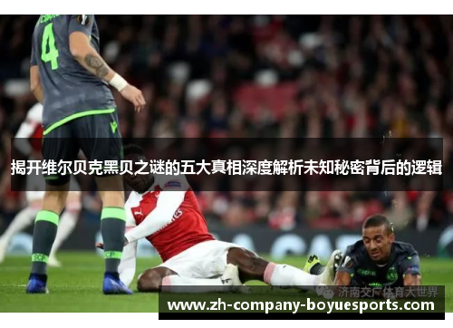 揭开维尔贝克黑贝之谜的五大真相深度解析未知秘密背后的逻辑