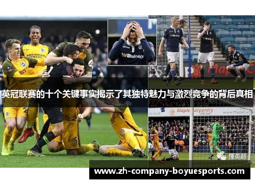 英冠联赛的十个关键事实揭示了其独特魅力与激烈竞争的背后真相