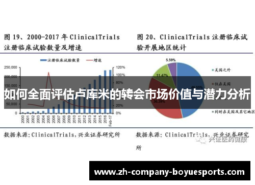 如何全面评估卢库米的转会市场价值与潜力分析