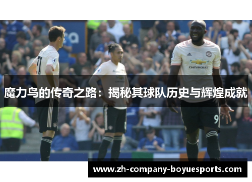 魔力鸟的传奇之路：揭秘其球队历史与辉煌成就